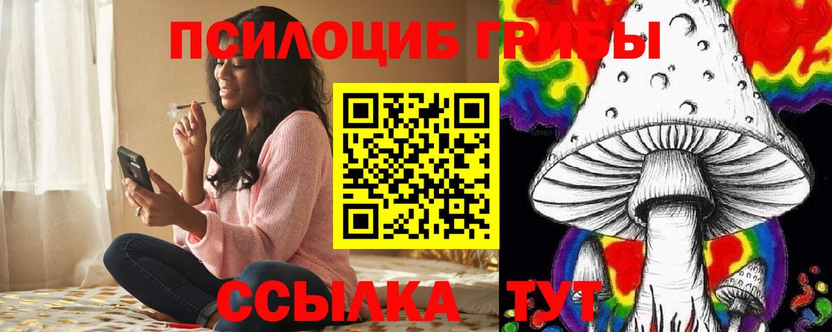Псилоцибиновые грибы Cubensis  Вход с VPN  Ялуторовск 