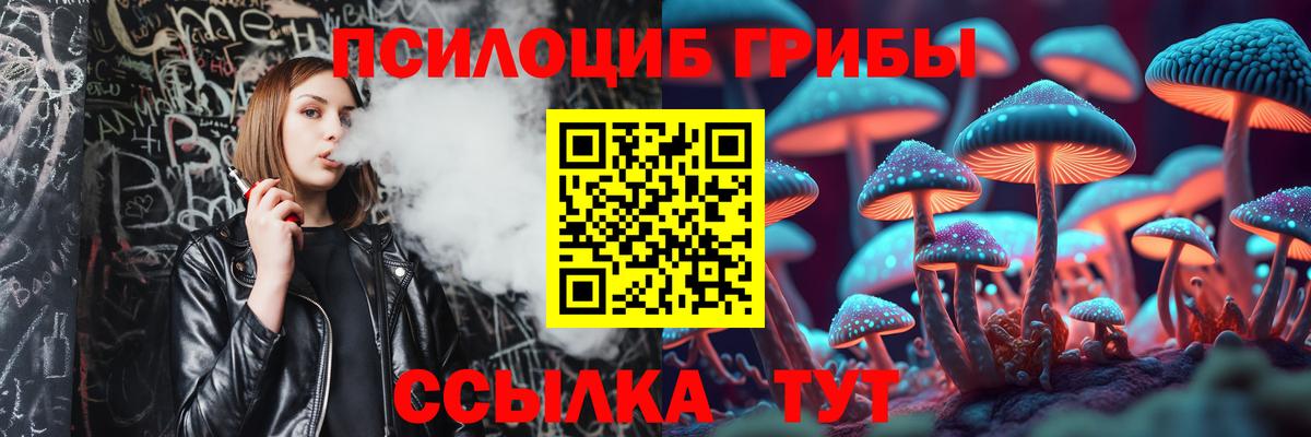 Псилоцибиновые грибы Psilocybine cubensis Ялуторовск